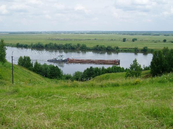 река Ока Алпатьево Московская область выгул собак